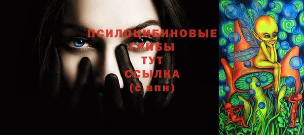 бошки Алзамай